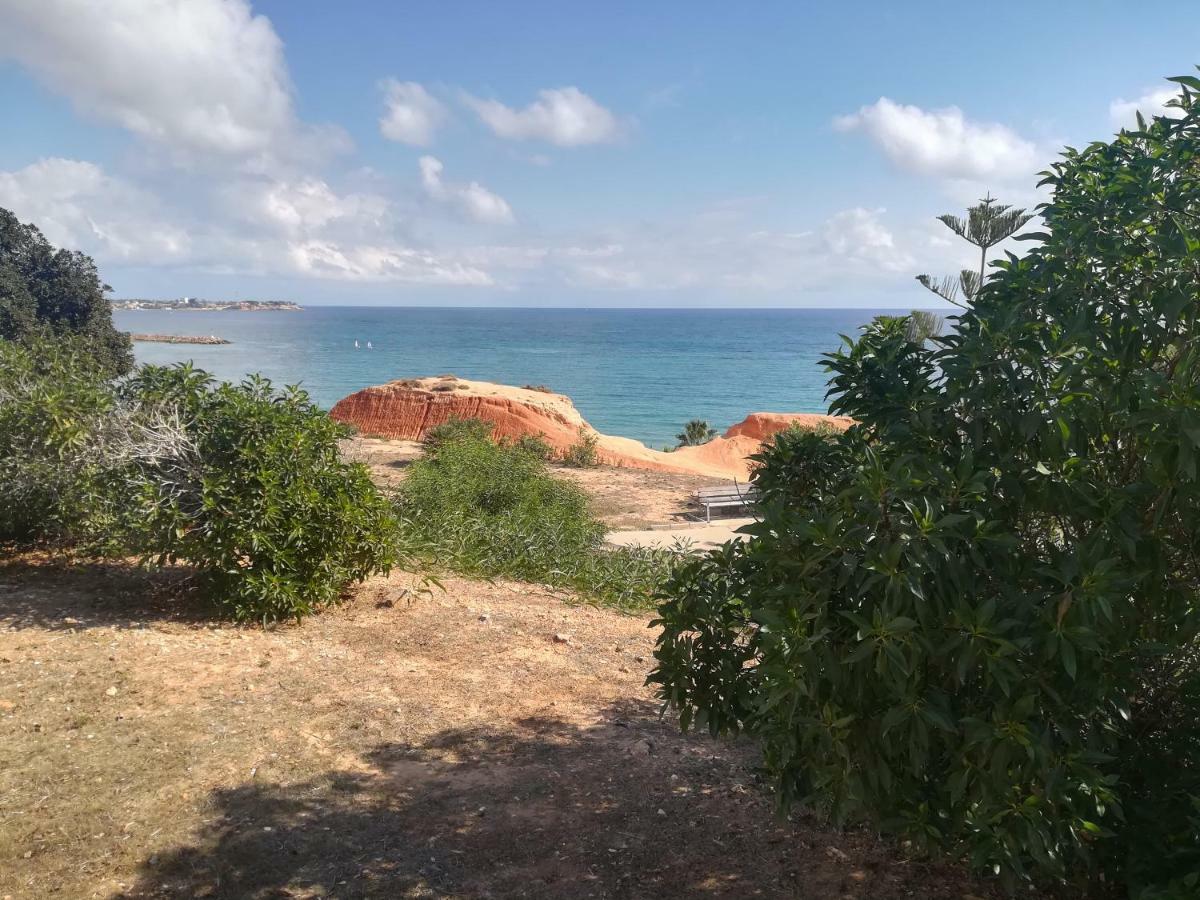 Апартаменты Cabo Roig Bellavista III Экстерьер фото